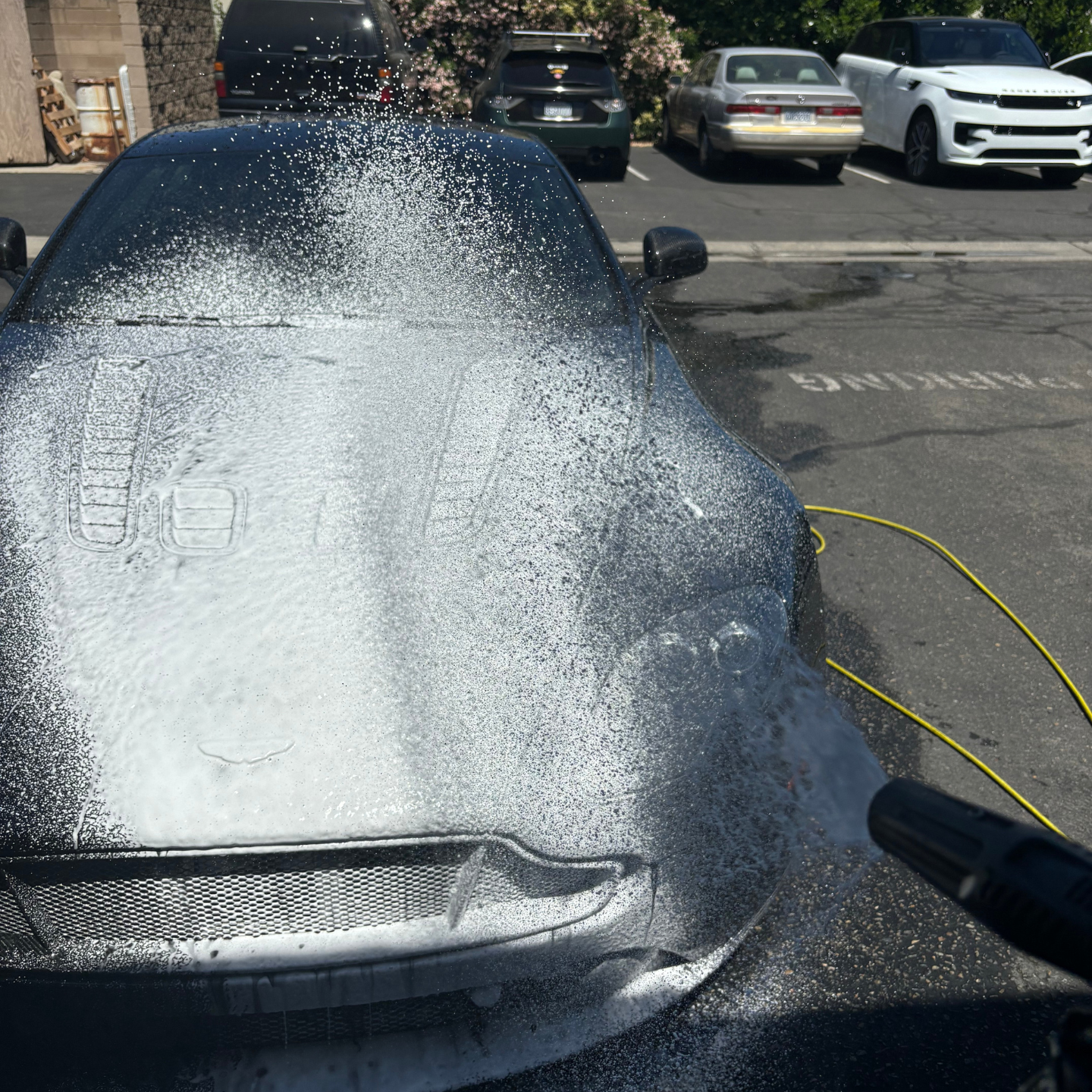 Detailing Services