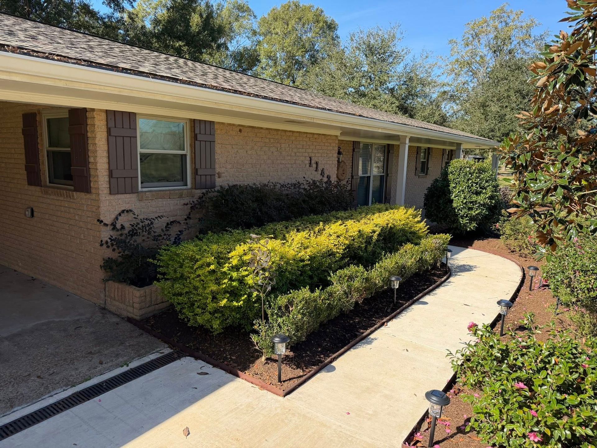 Brick house front walkway with trimmed shrubs and a curved concrete path in bright sunlight