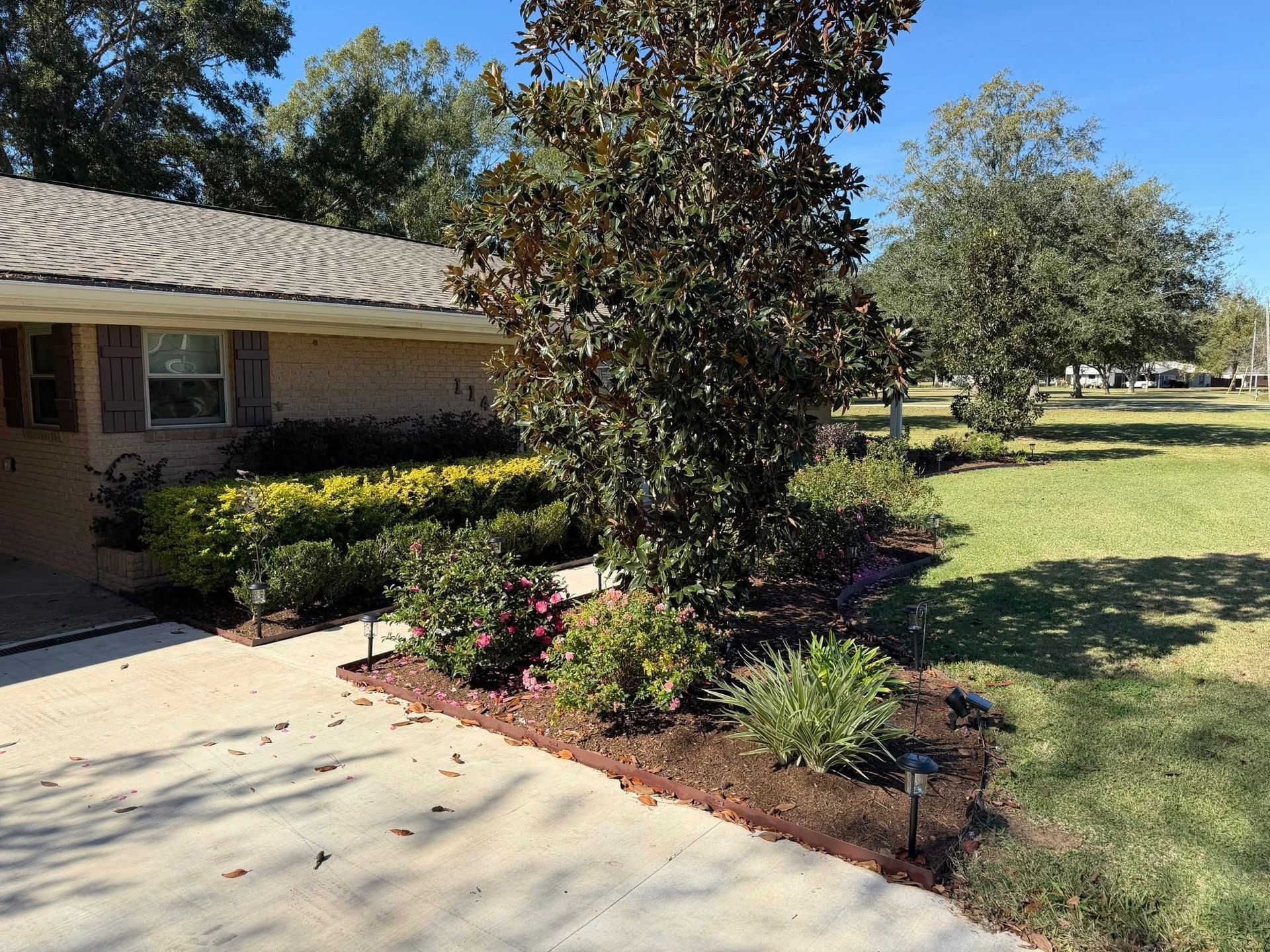 Front yard with a tree, trimmed shrubs, and a driveway beside a brick house on a sunny day