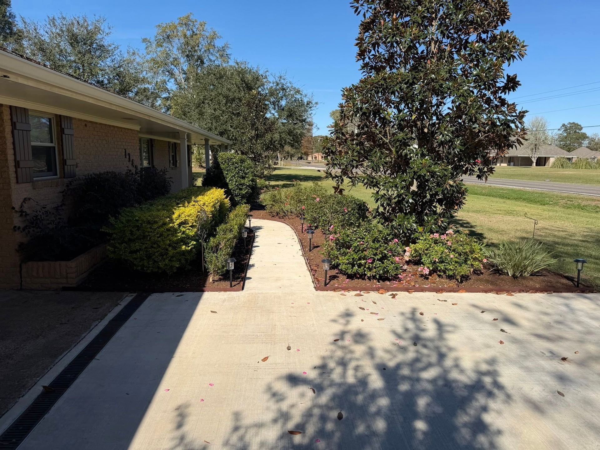 Sunlit front walkway beside a brick house, with shrubs, a tree, and lawn in the background.
