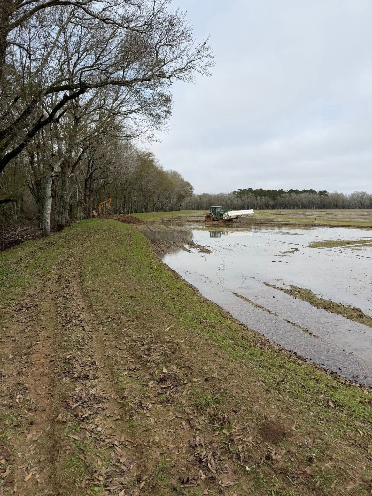 Muddy flooded field beside a leafless wooded path under a cloudy sky, with a small white structure in the distance