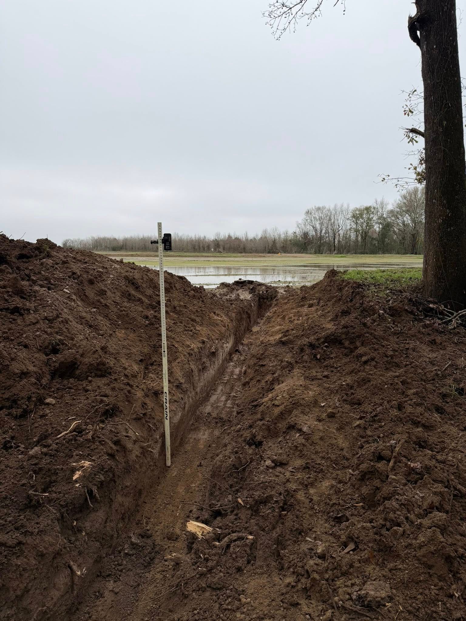 Freshly dug trench in muddy soil beside a field, with a tree trunk at right under an overcast sky
