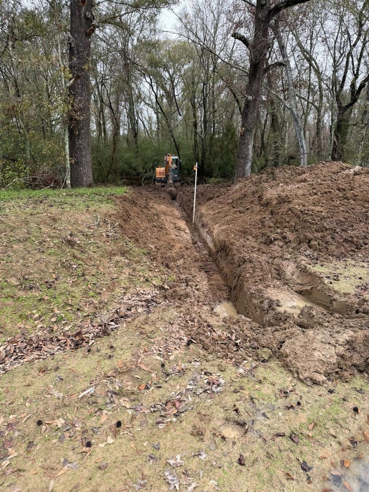A muddy trench cuts through a wooded area, with an orange excavator in the background.