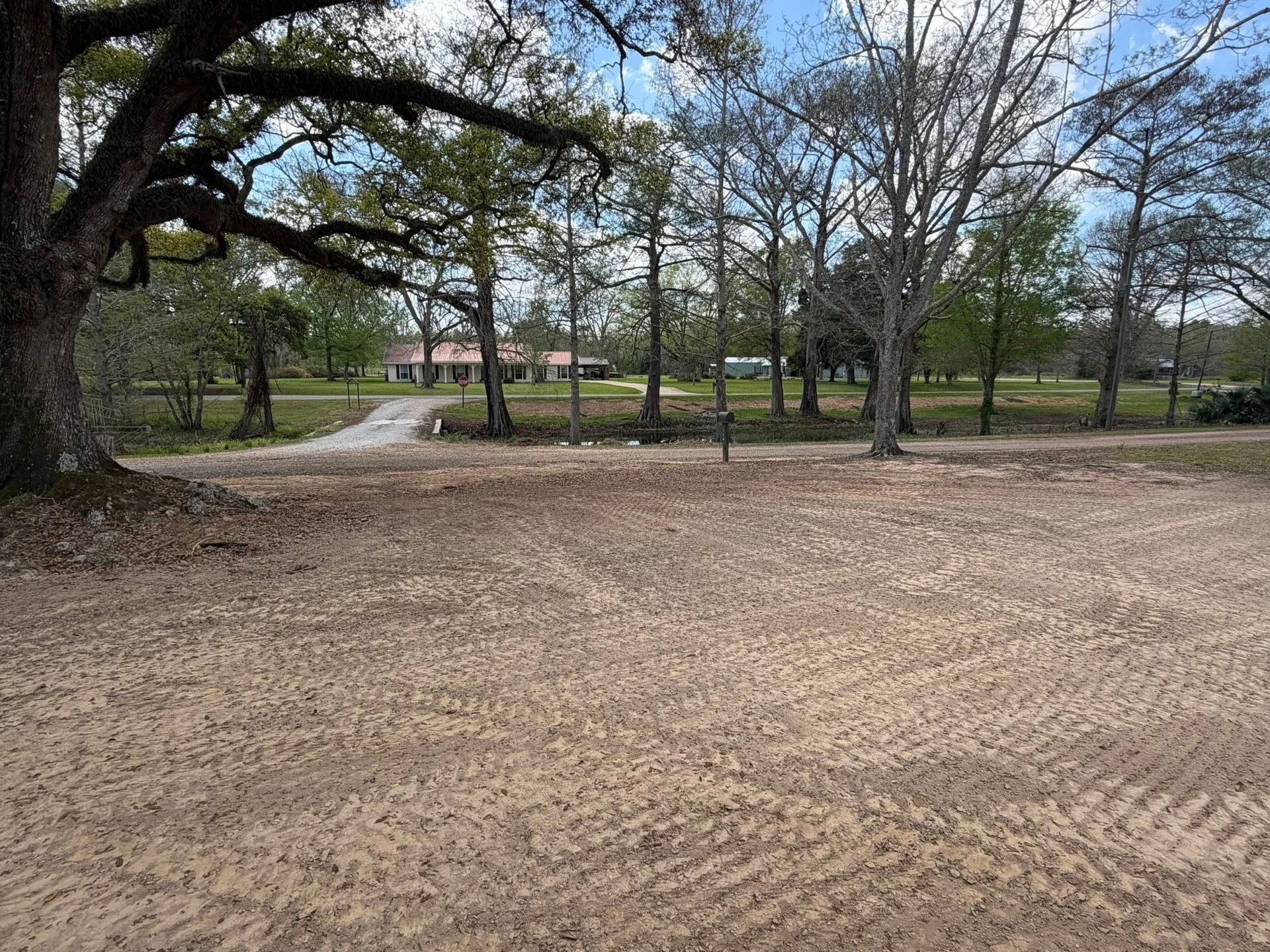 Leaf-covered park clearing with trees, a winding path, and a fence in the background