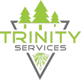 Trinity Services logo with green trees and roots over gray mountain shapes