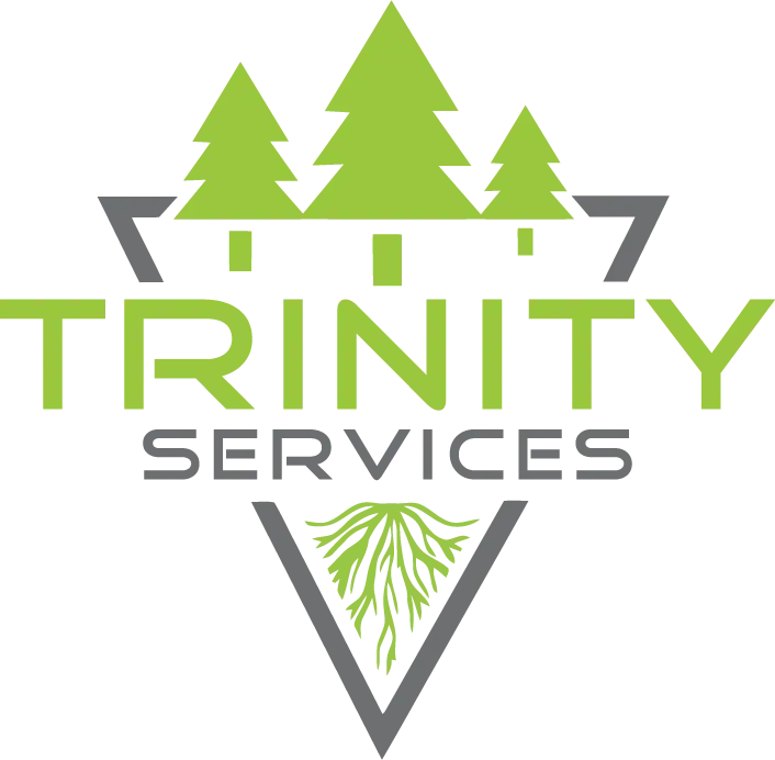 Trinity Services logo with green trees and roots over gray mountain shapes