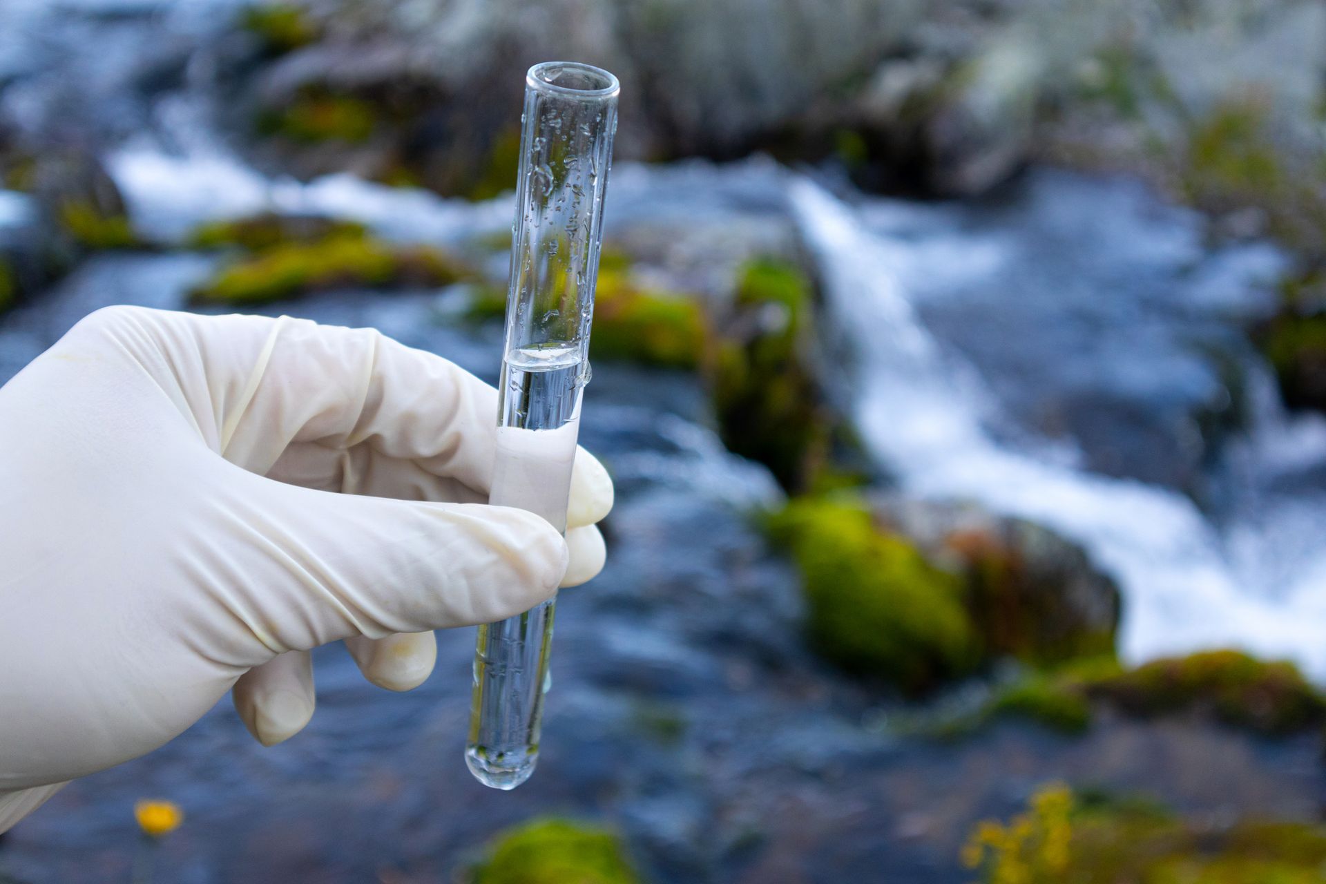 professional bacteria testing in Palm Bay FL