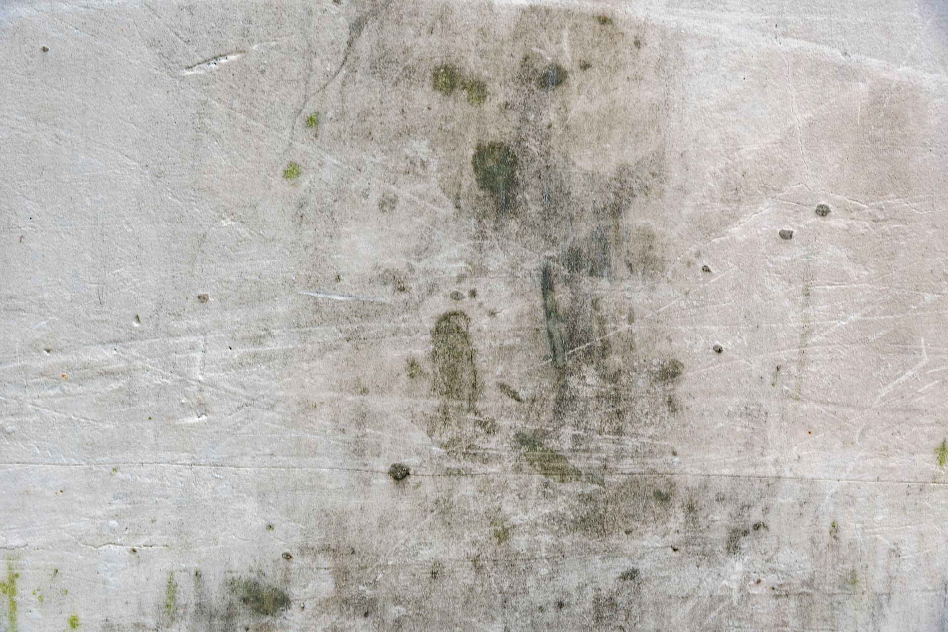Professional mold testing in Palm Bay FL