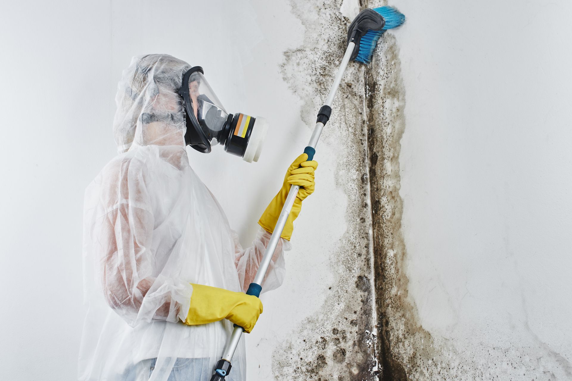 expert mold testing in Palm Bay FL