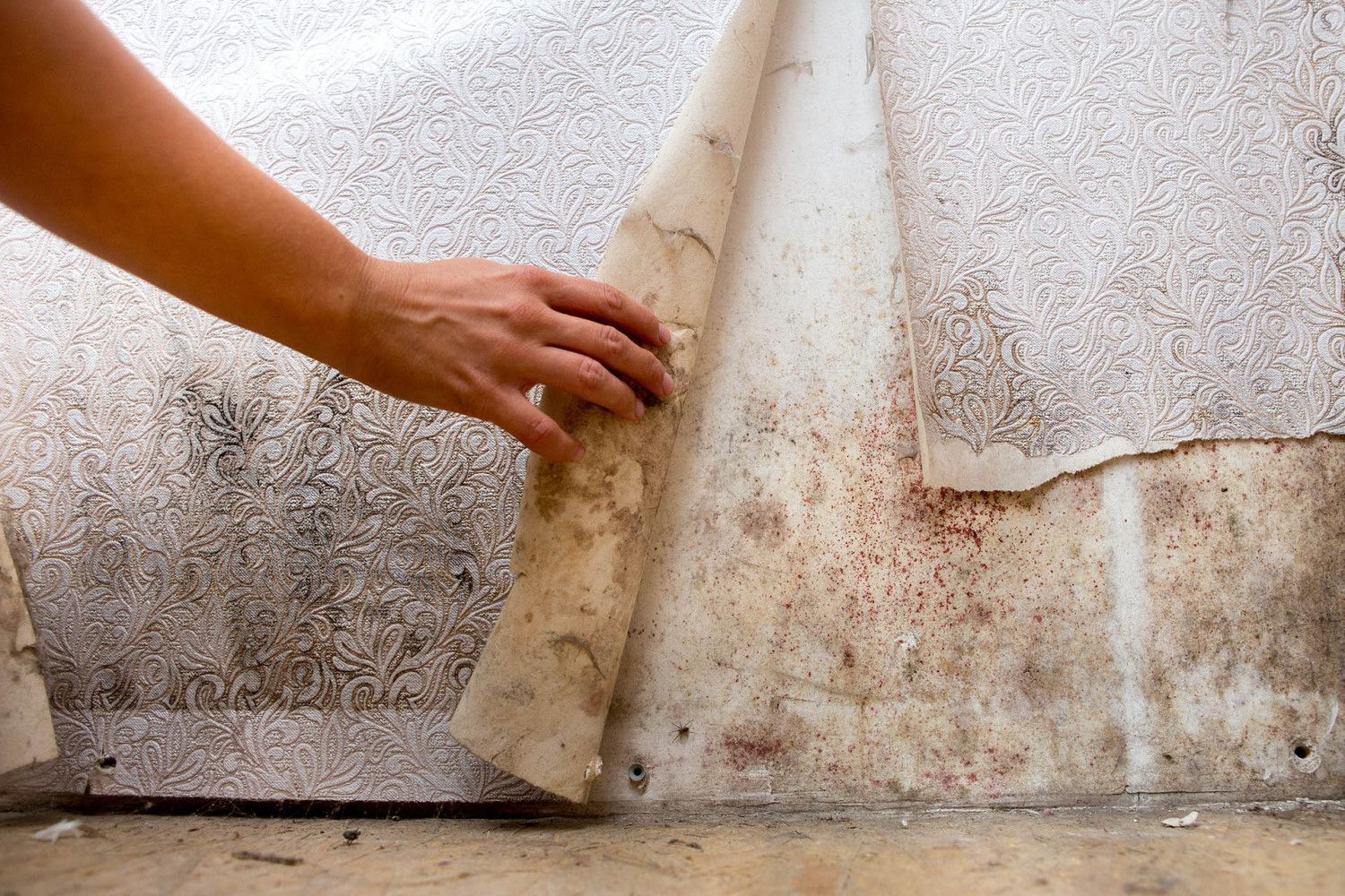 Mold testing Palm Bay