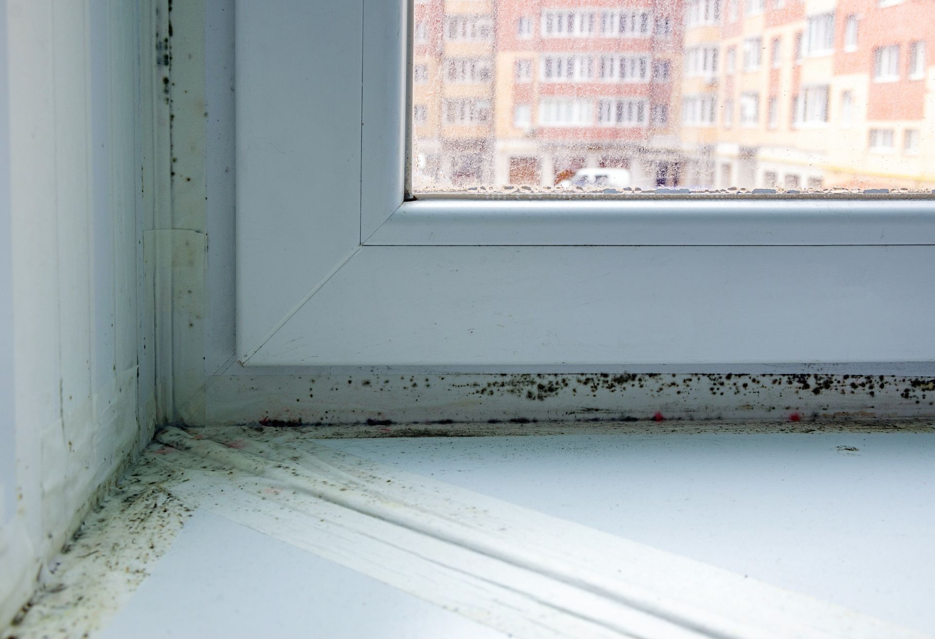 mold testing in Palm Bay, FL