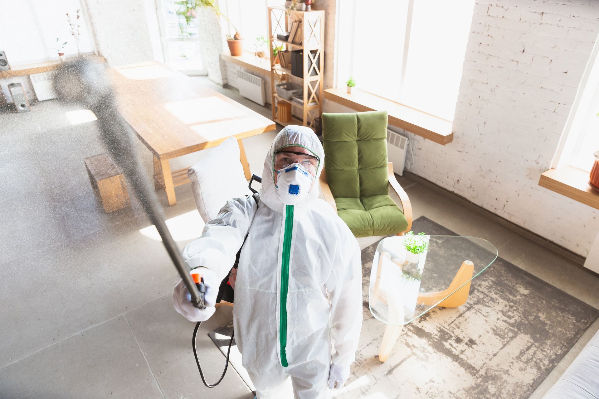 mold in Palm Bay