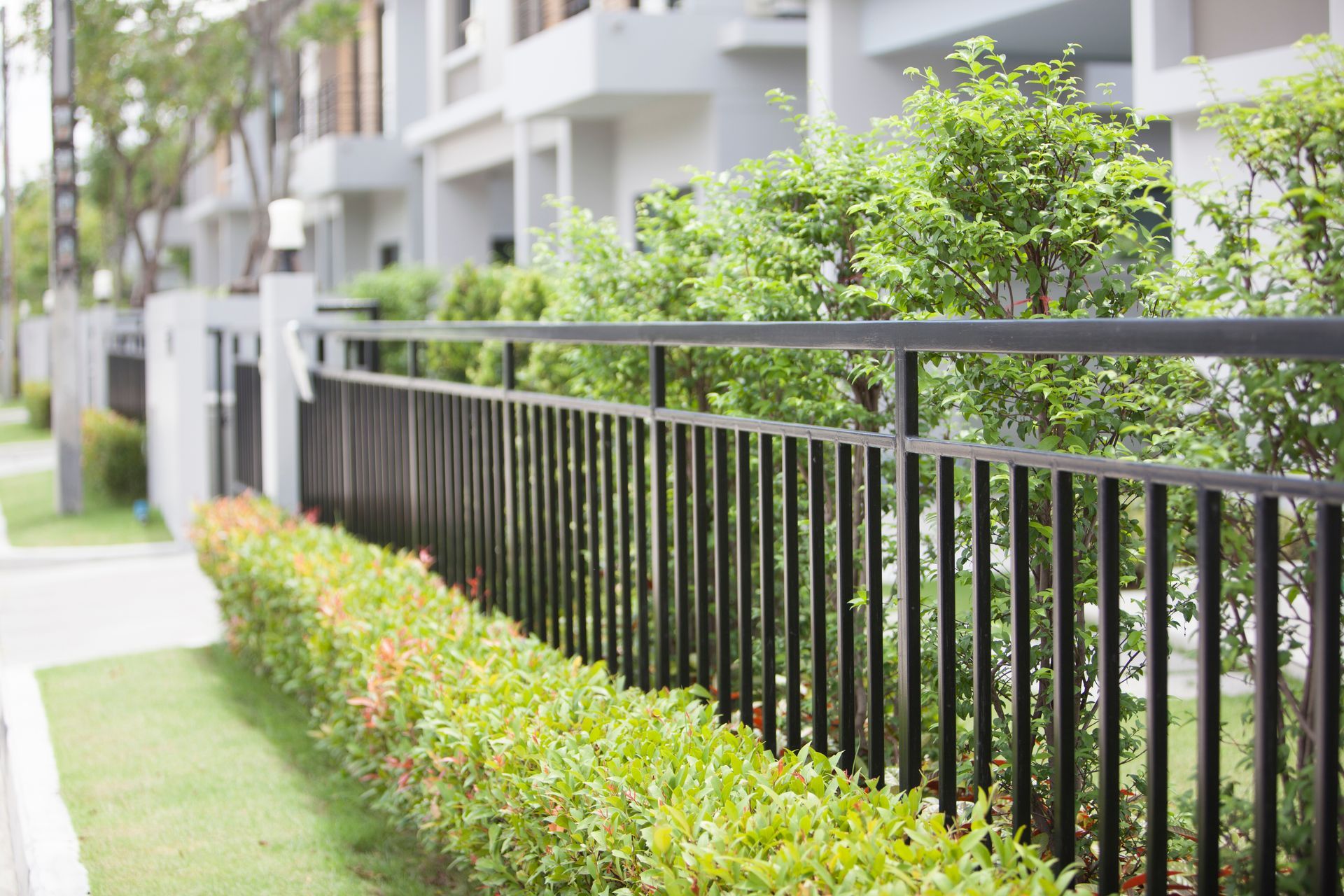 Black metal fence surrounding a landscaped residential property with trimmed greenery