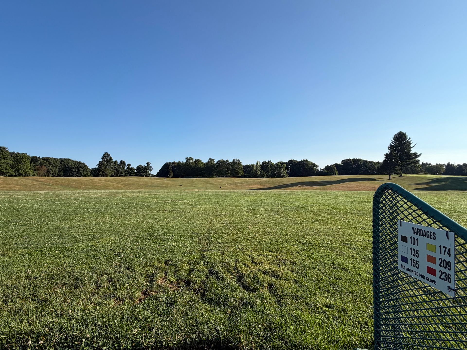 A group of people are practicing golf on a driving range.