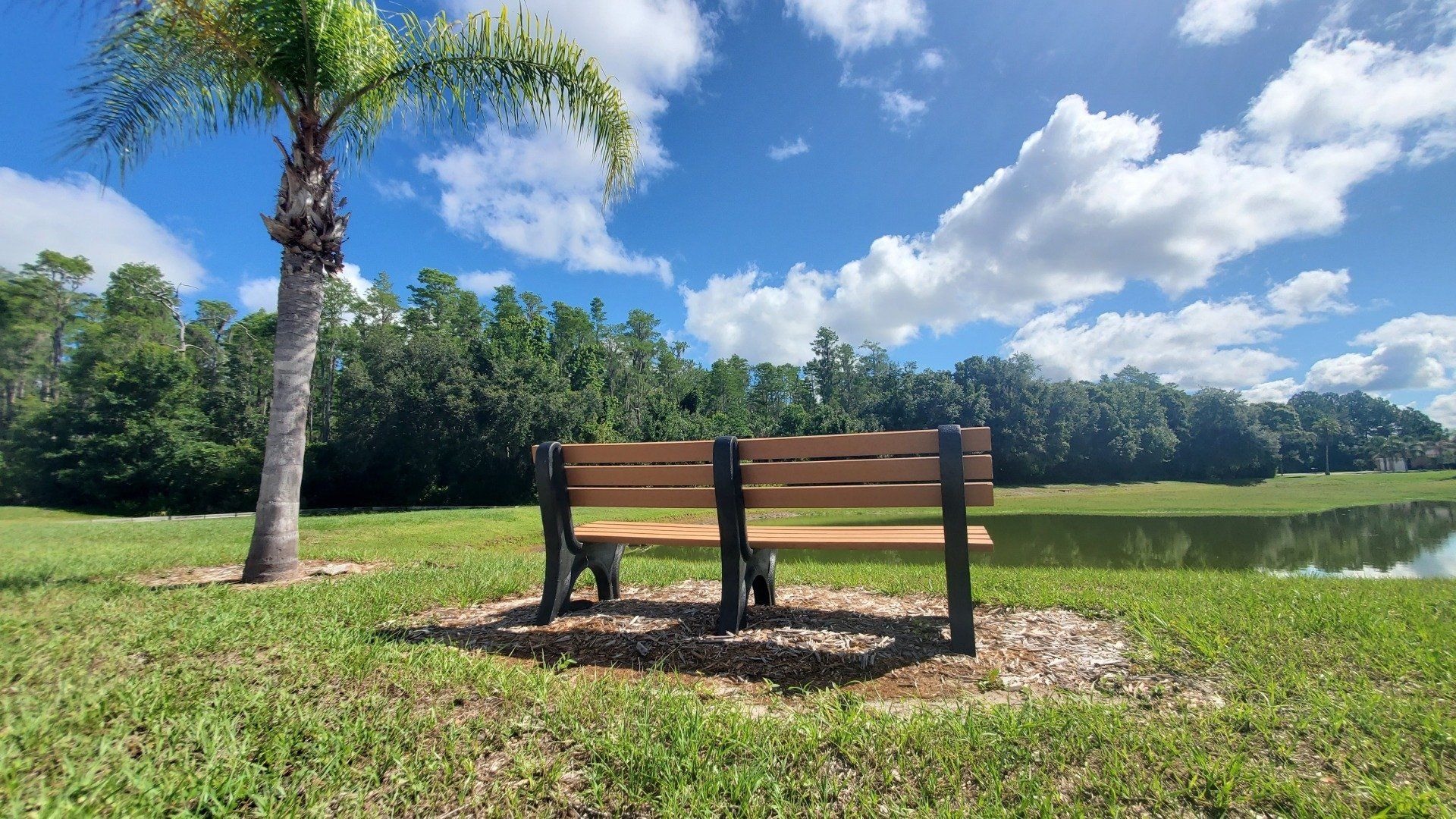 A wooden bench is sitting in the grass next to a lake.