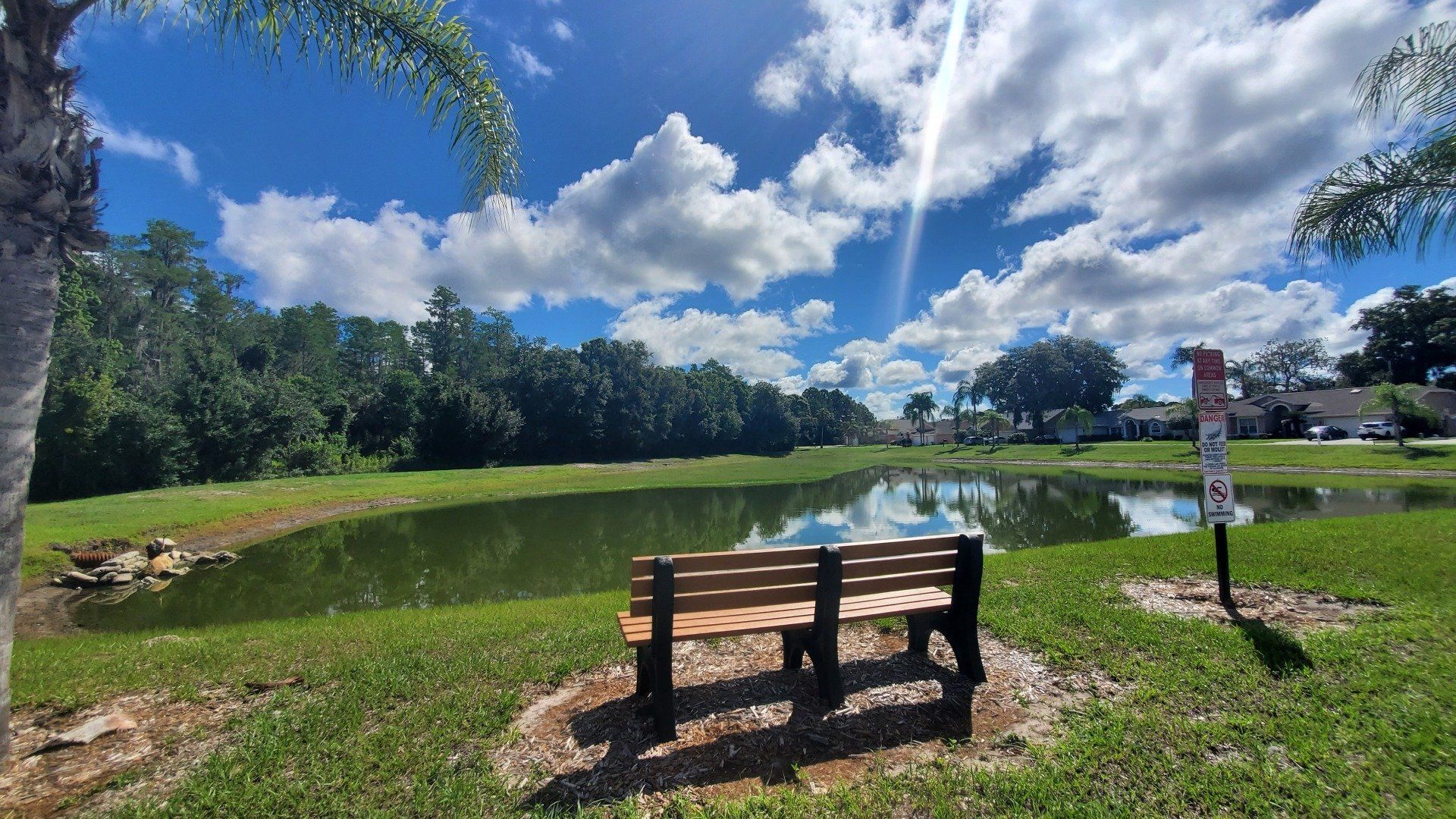 A wooden bench is sitting next to a pond in a park.