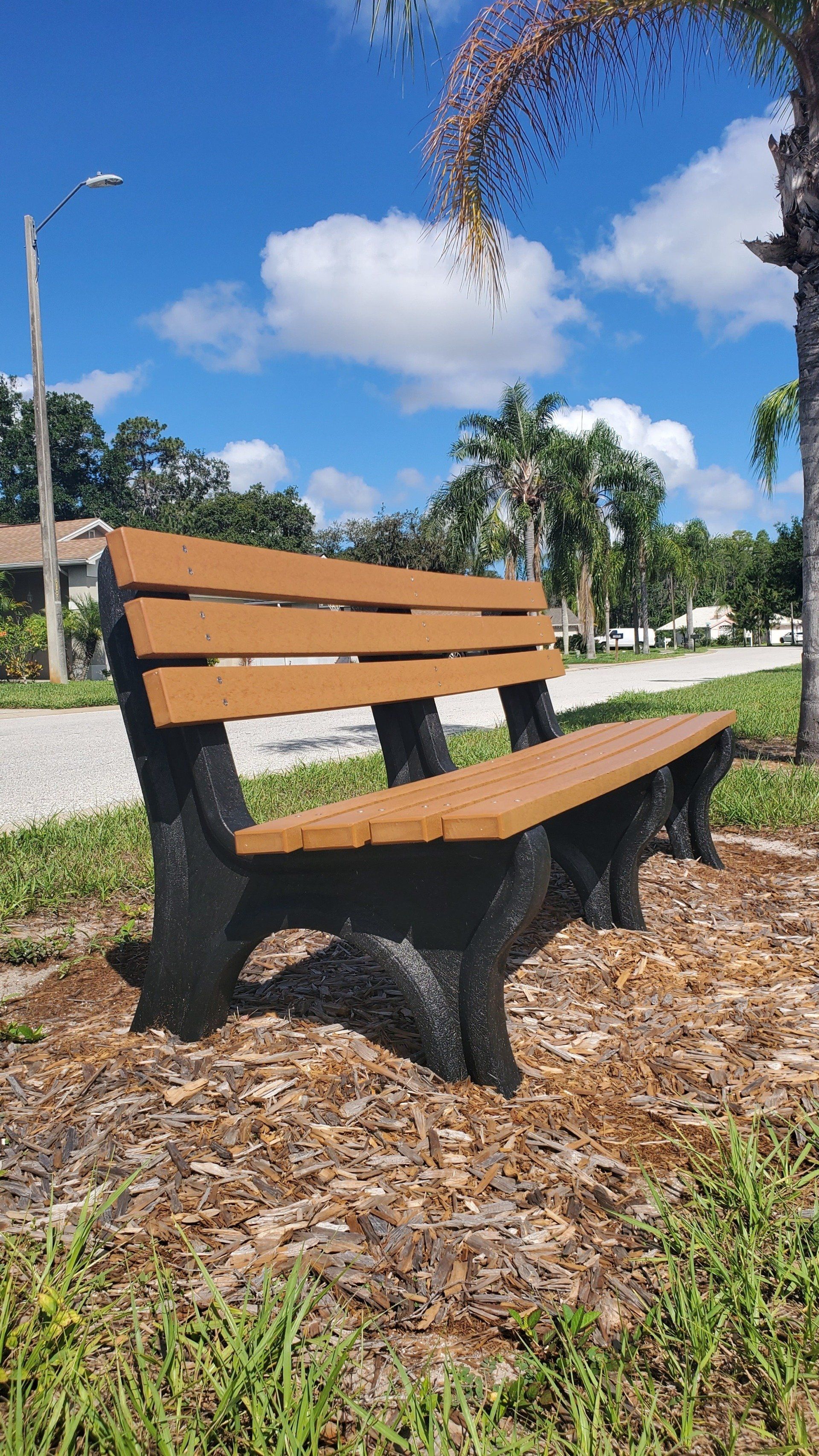 A wooden bench is sitting in the grass next to a palm tree.