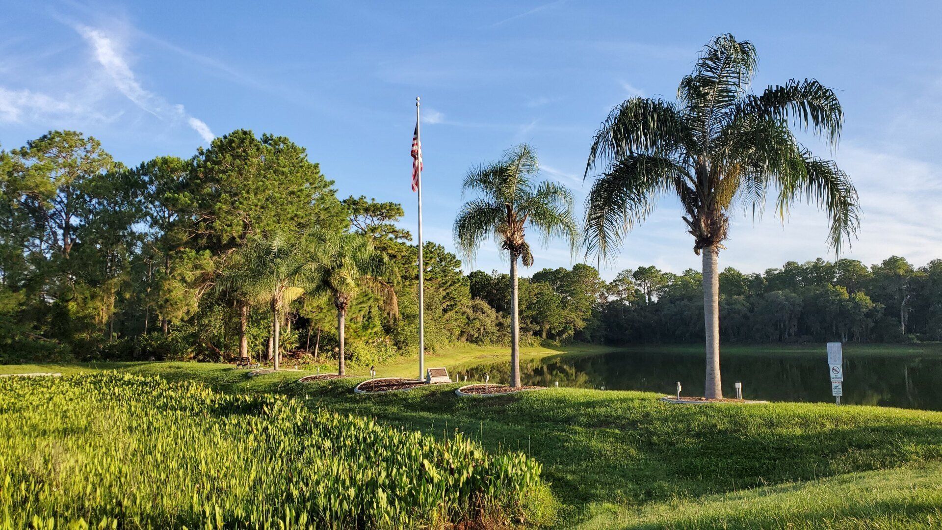 A flag pole in the middle of a field with palm trees and a lake in the background