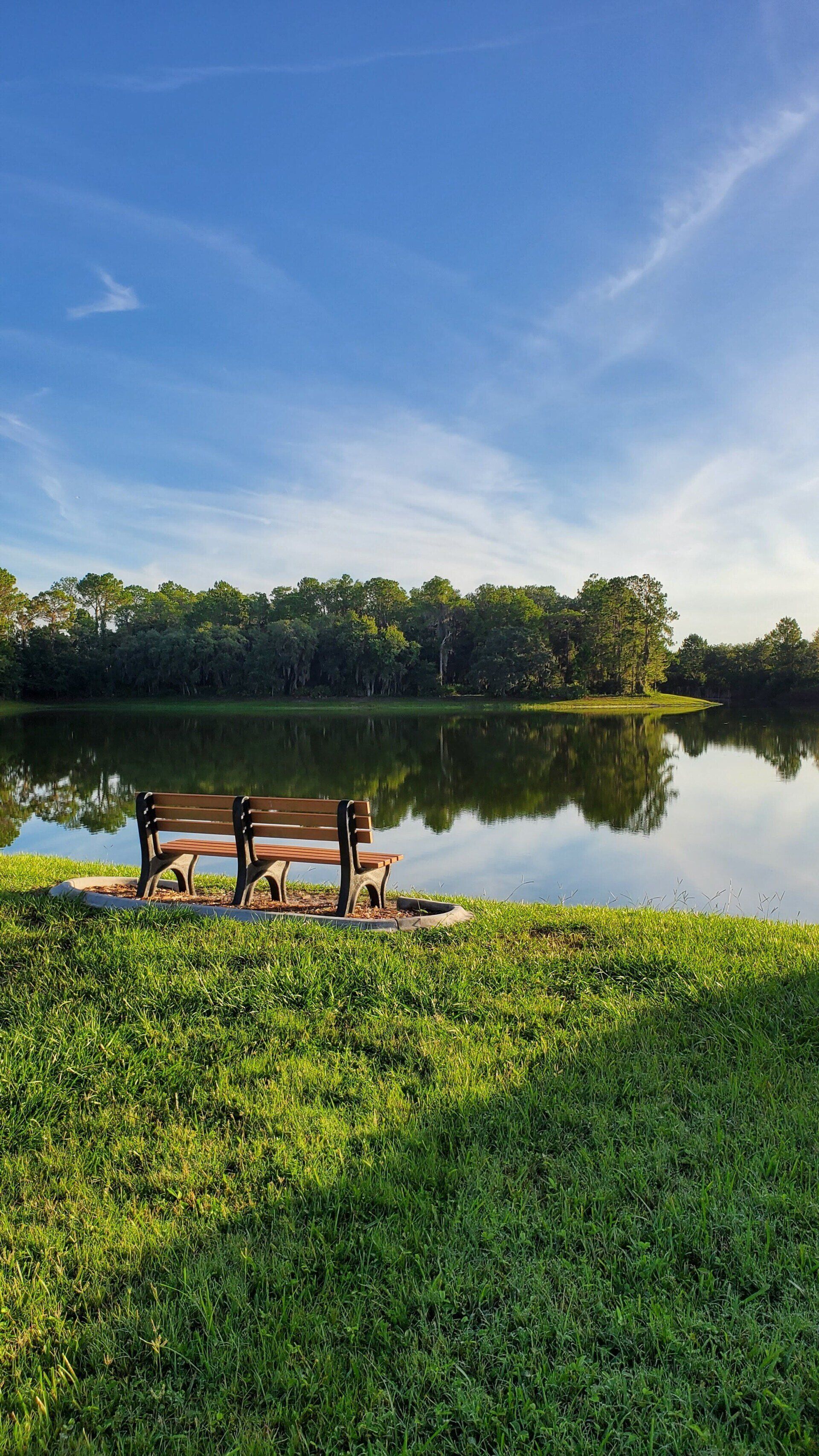 A park bench is sitting on the shore of a lake.