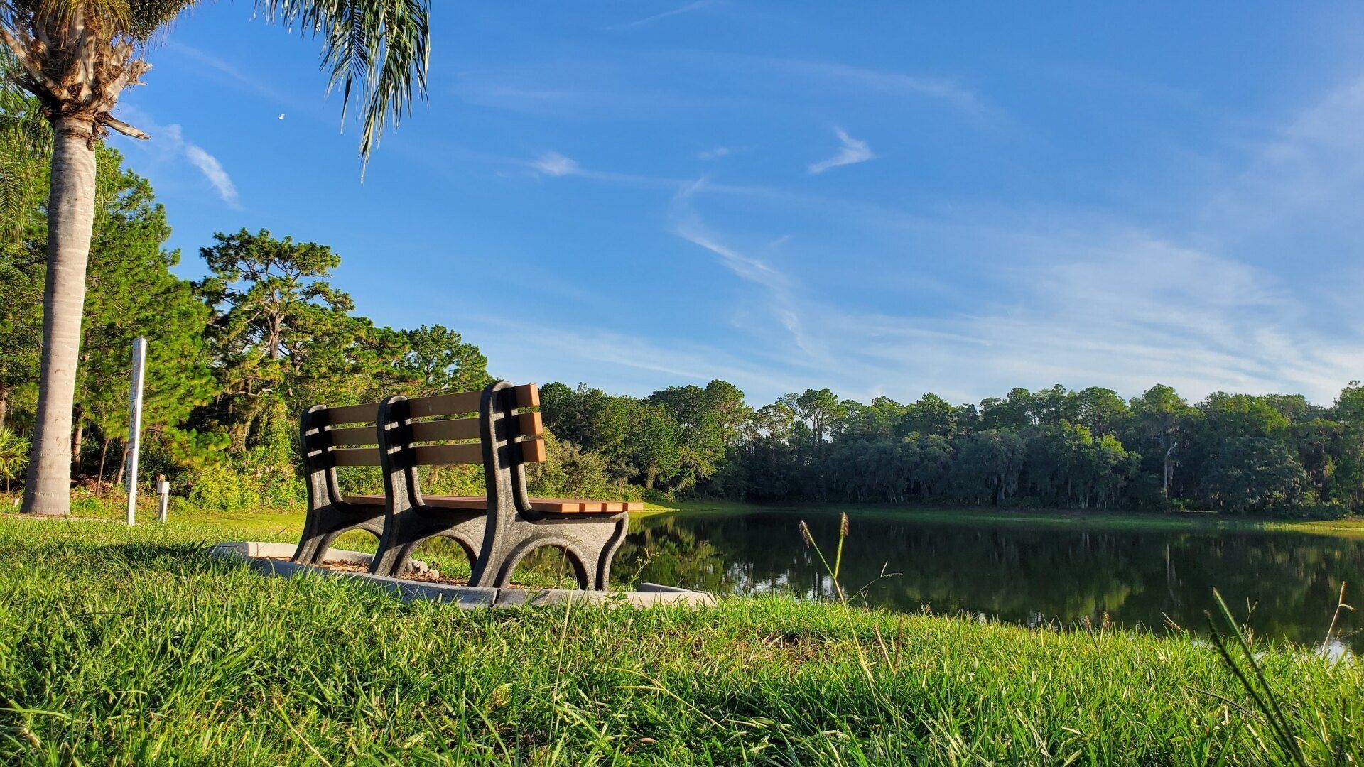 A park bench is sitting next to a lake in a park.
