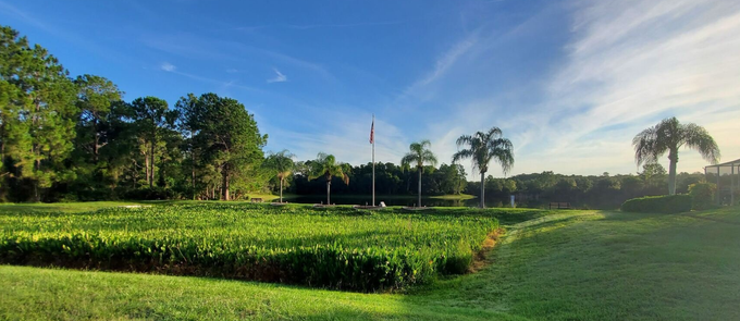 A large grassy field with trees in the background and a flag in the foreground.