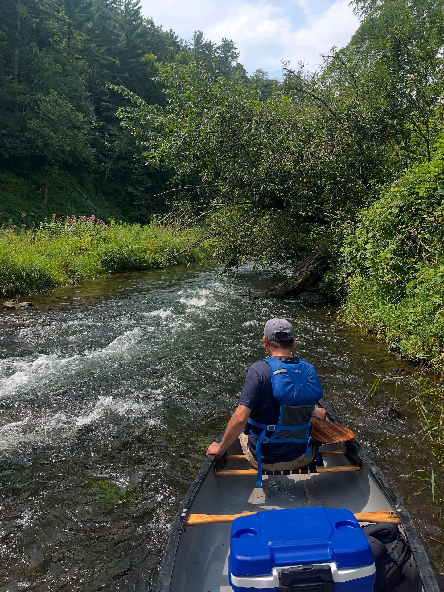 Person paddling a canoe down a shallow river through dense green forest