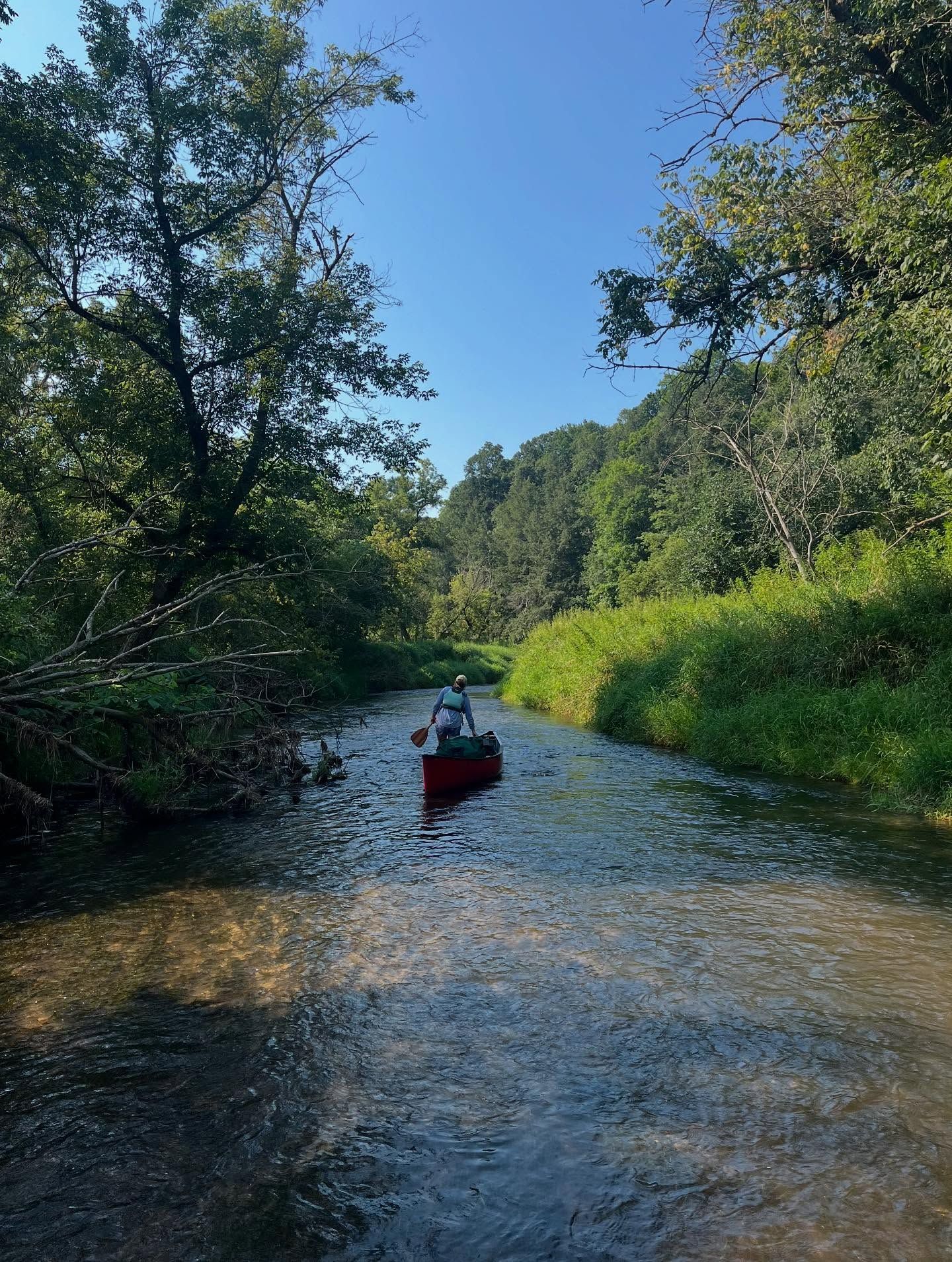 Person paddling a red kayak on a sunny, tree-lined river