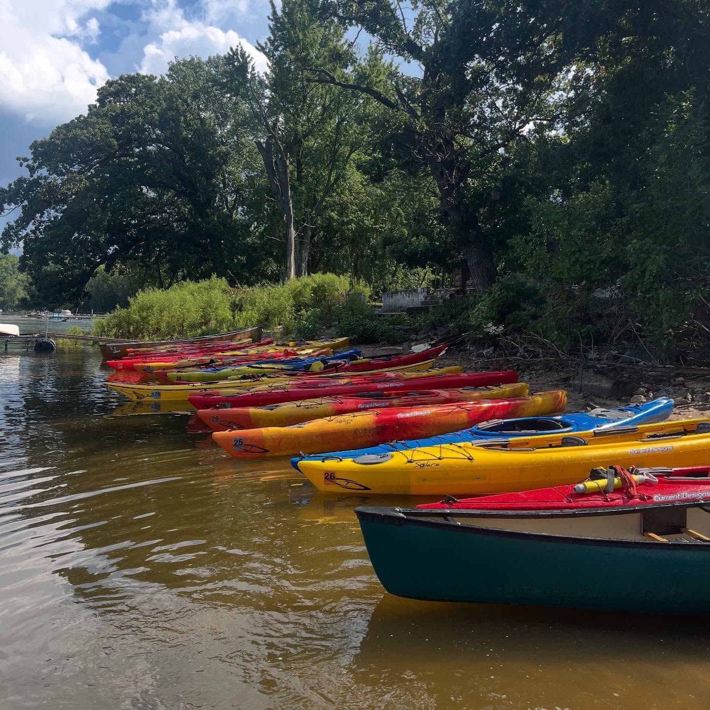 Colorful kayaks lined up along a calm riverbank beside dense green trees.