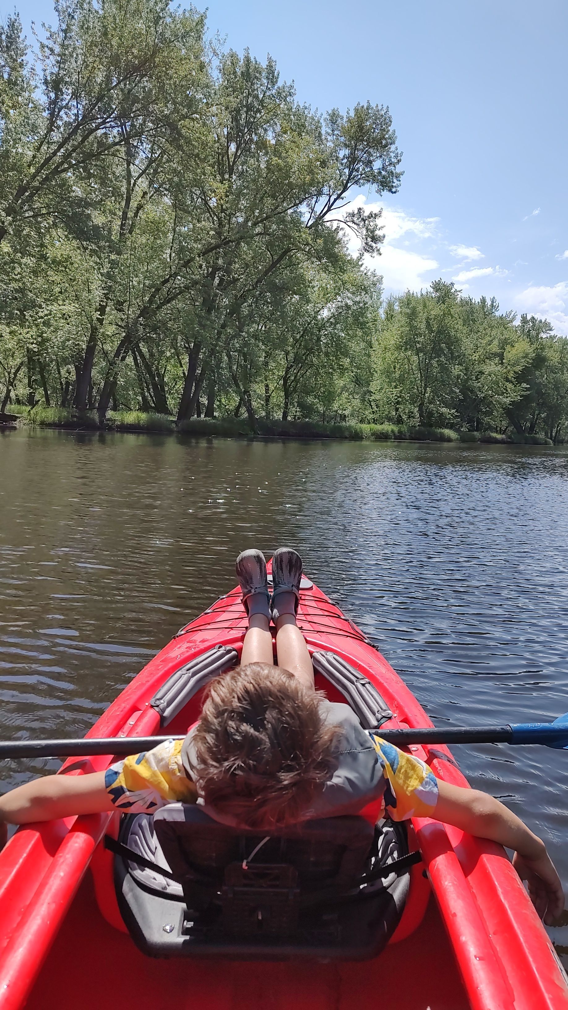 Two people kayaking on a calm lake with trees and reeds along the shore