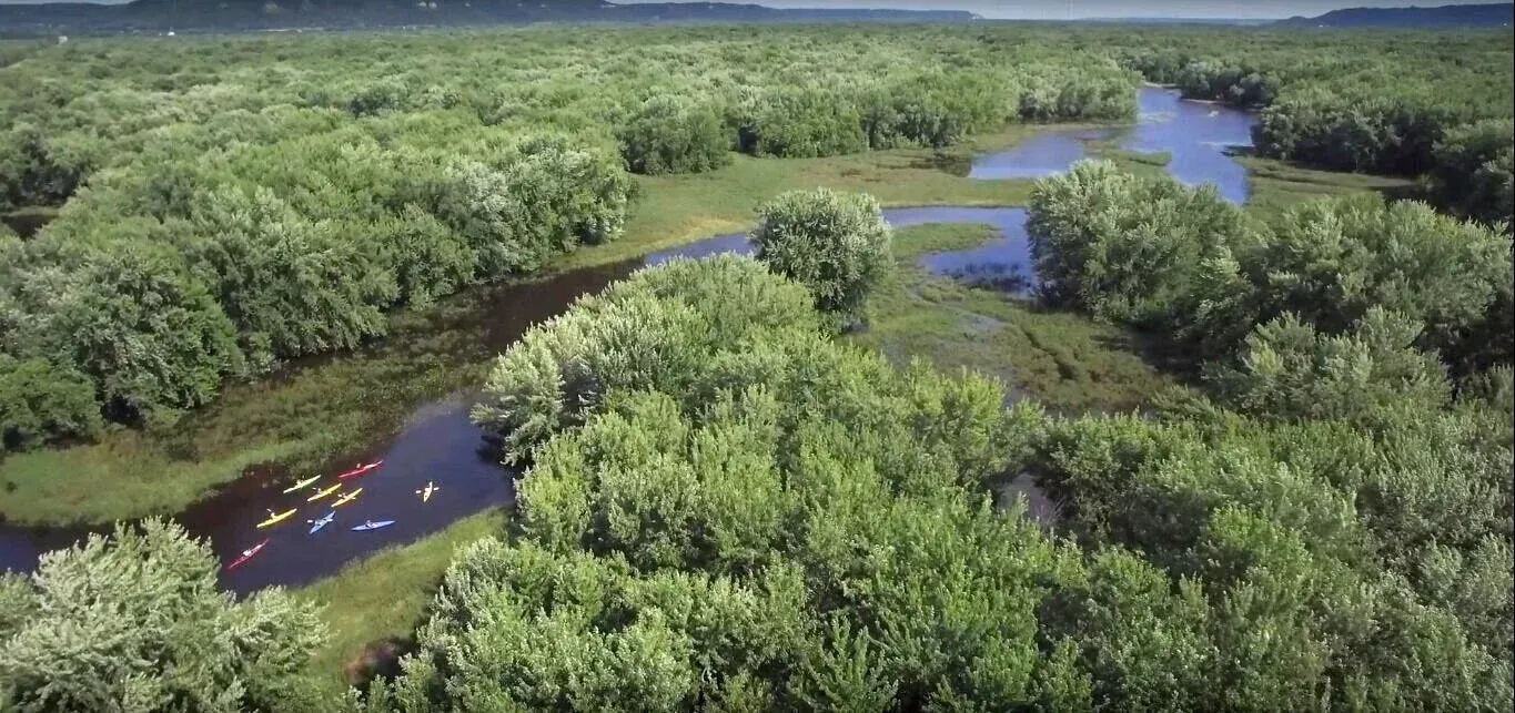 Aerial view of a winding river cutting through dense green forest under a bright sky