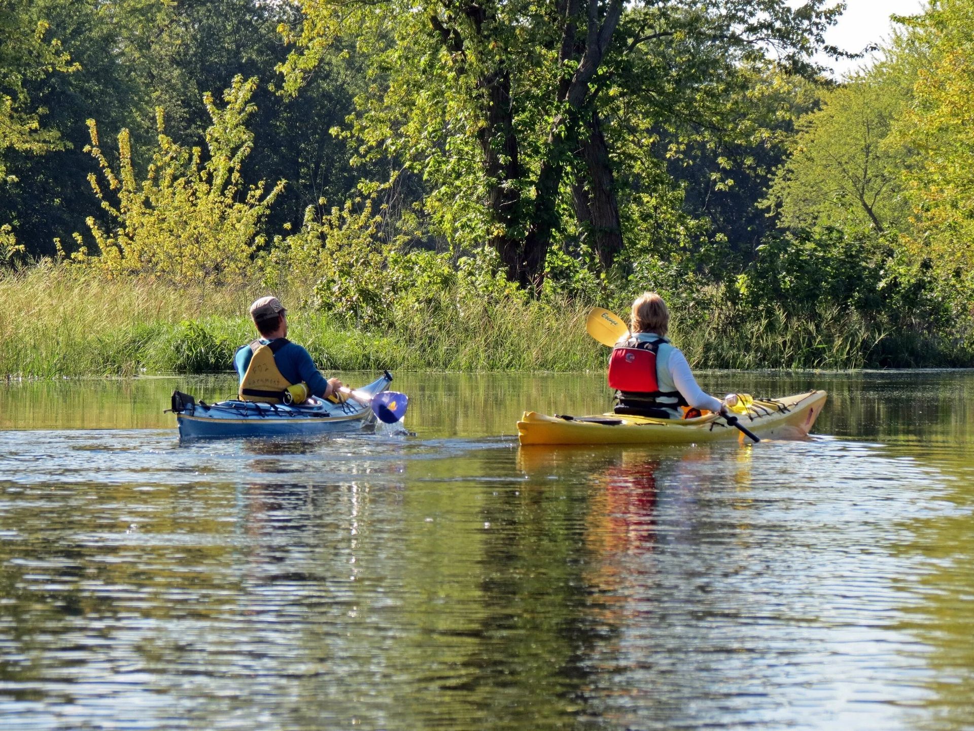 Person paddling a red kayak on a sunny, tree-lined river