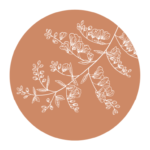 White floral branches on a peach circle background