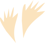 Light beige cartoon duck feet, pointed and spread apart.