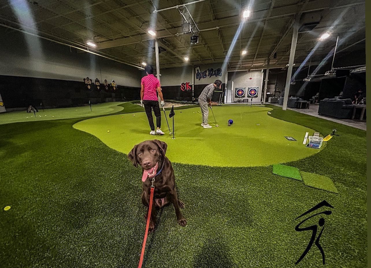 A dog is sitting on a leash next to a group of people playing golf.