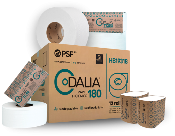 SOLUCIONES EN PAPEL
