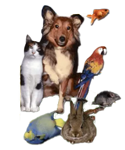 Colonial Pet Shoppe Inc