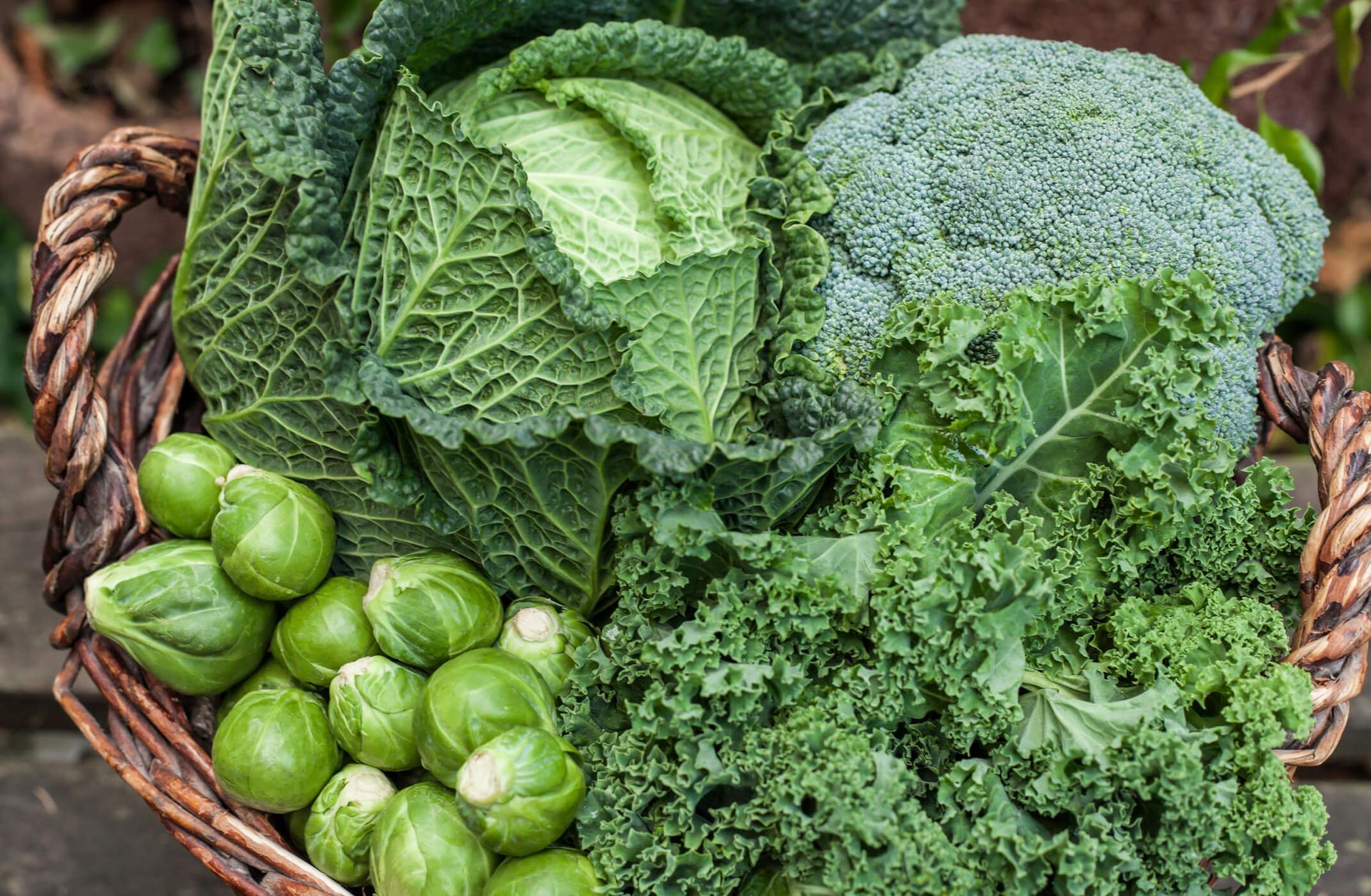 Brussel sprouts, broccoli, cabbage
