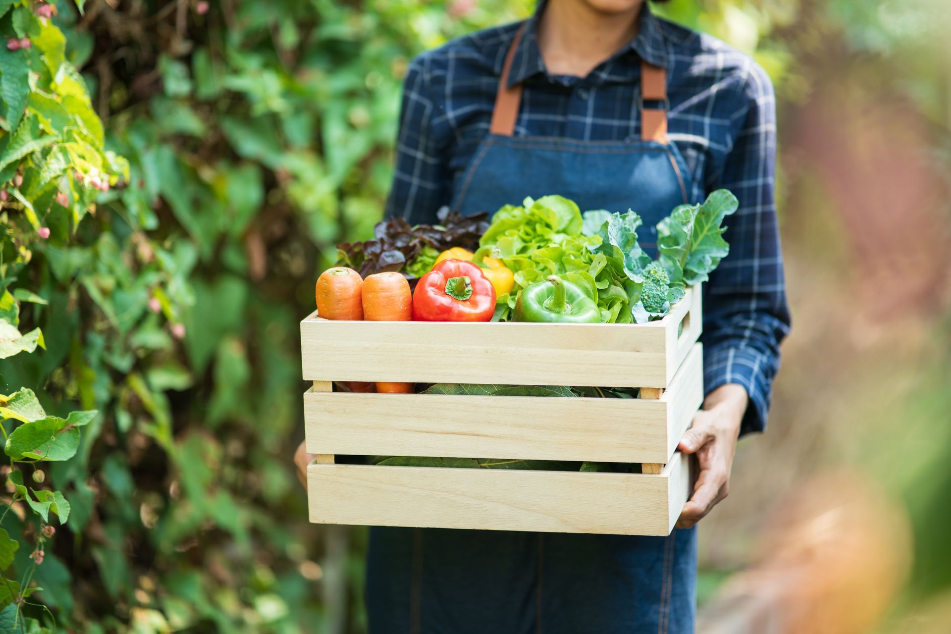 Fresh Quebec fruits and vegetables in summer season — Canadawide Fruits