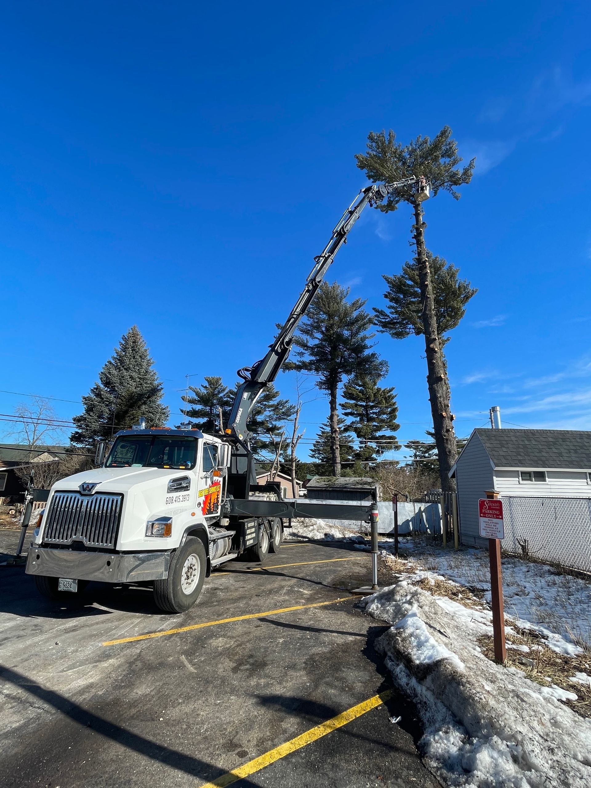 Truck with a crane trimming the top of two tall trees in a parking lot on a sunny day with some snow.