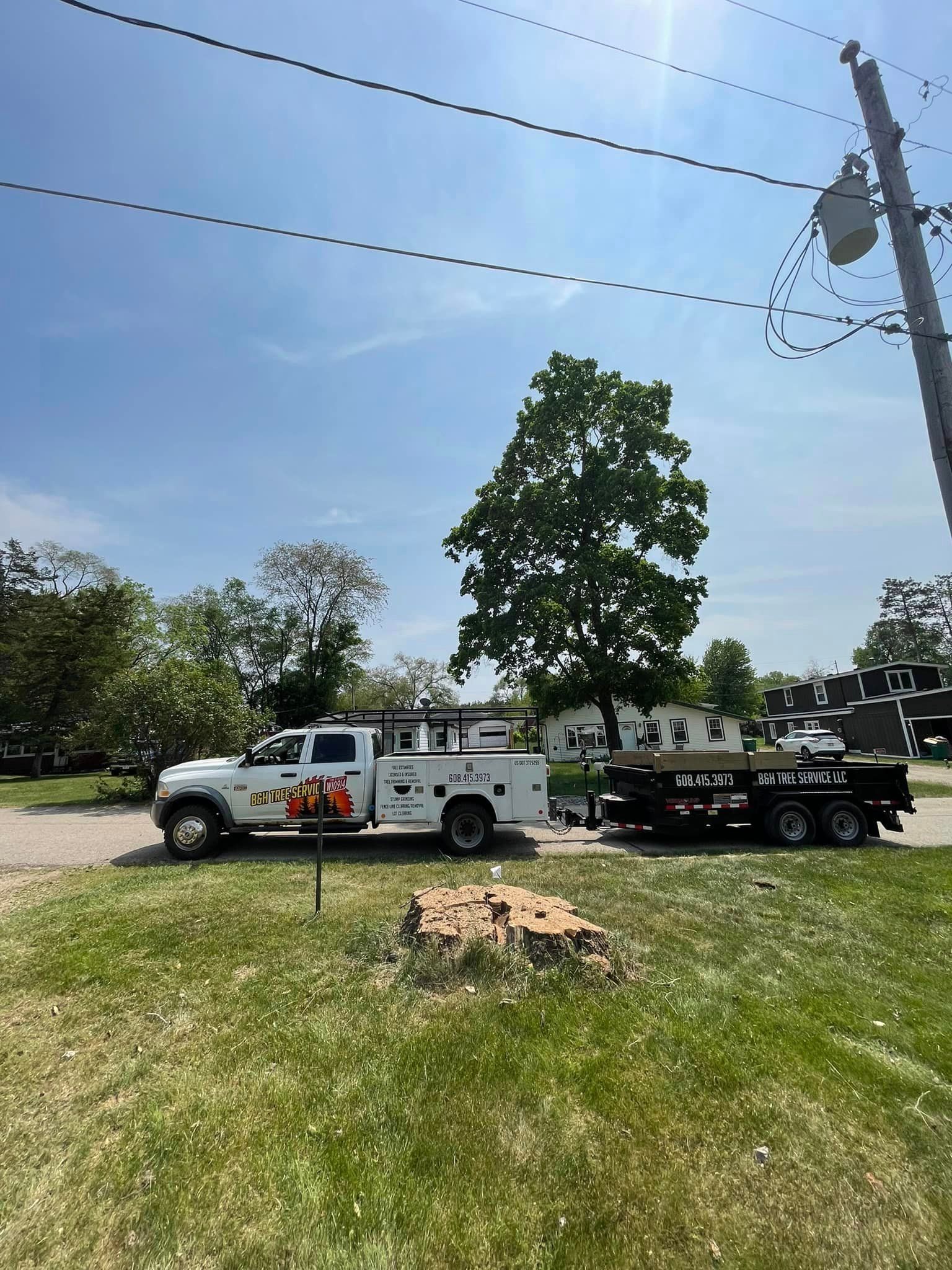 A white truck is parked in a grassy field next to a tree.