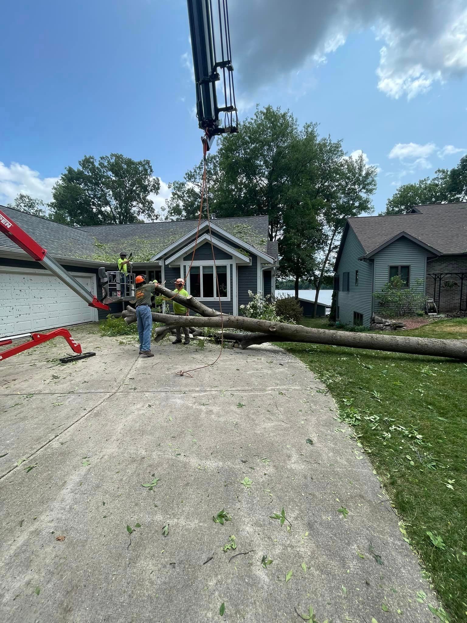 A crane is lifting a tree in front of a house.