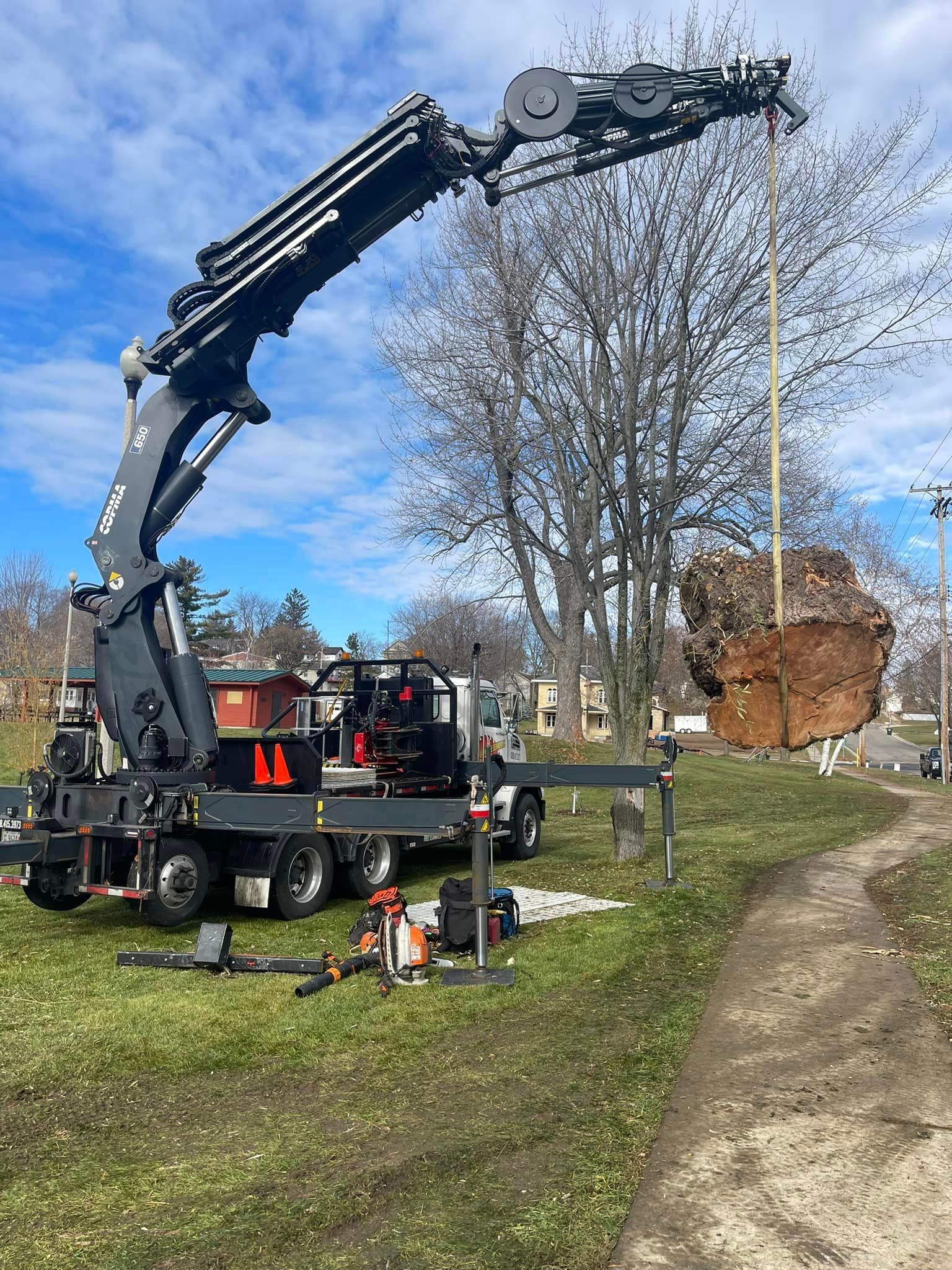 Crane lifting a large root ball. Outdoors, cloudy sky.