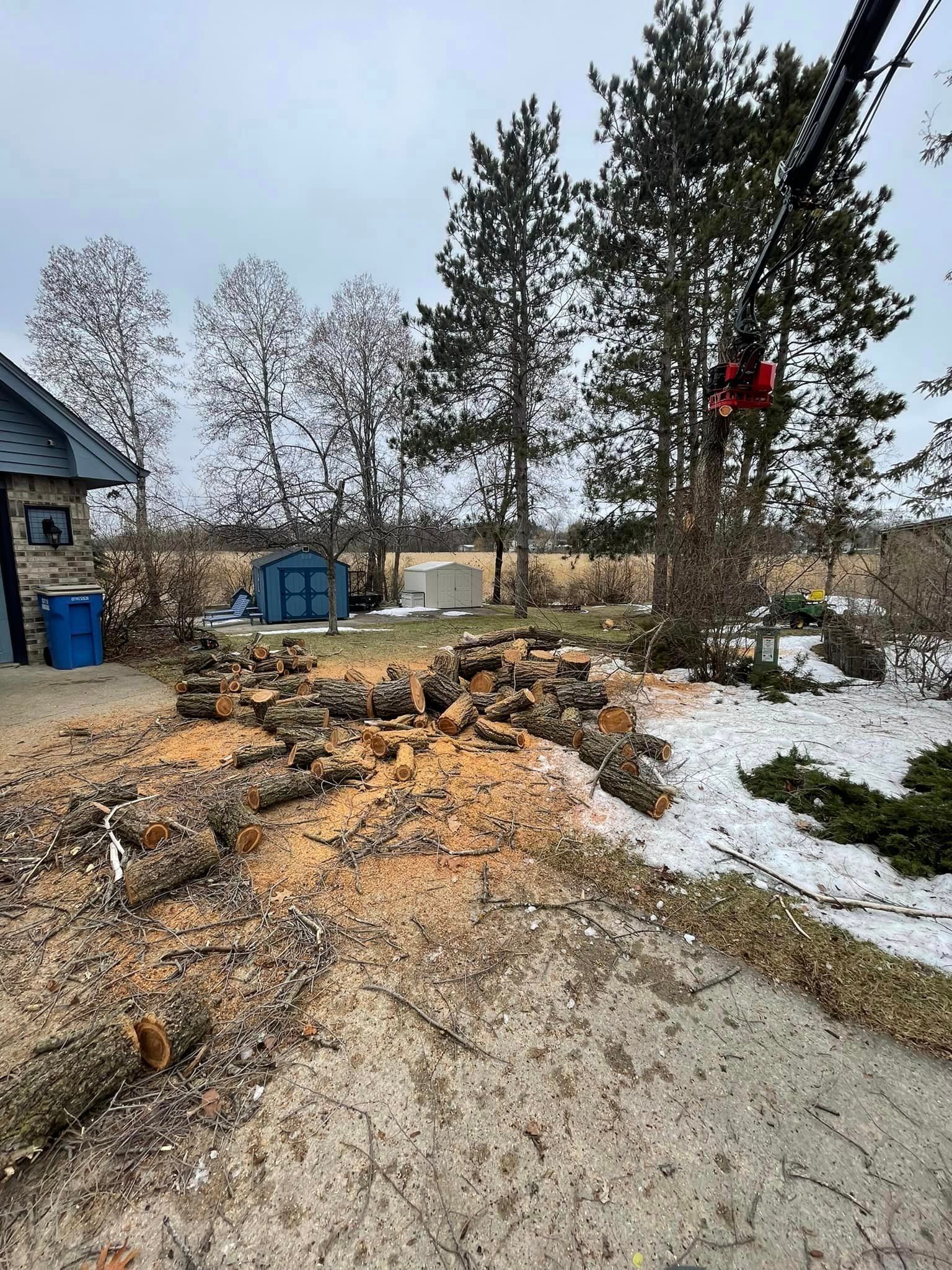 A pile of logs is sitting on the ground in front of a house.