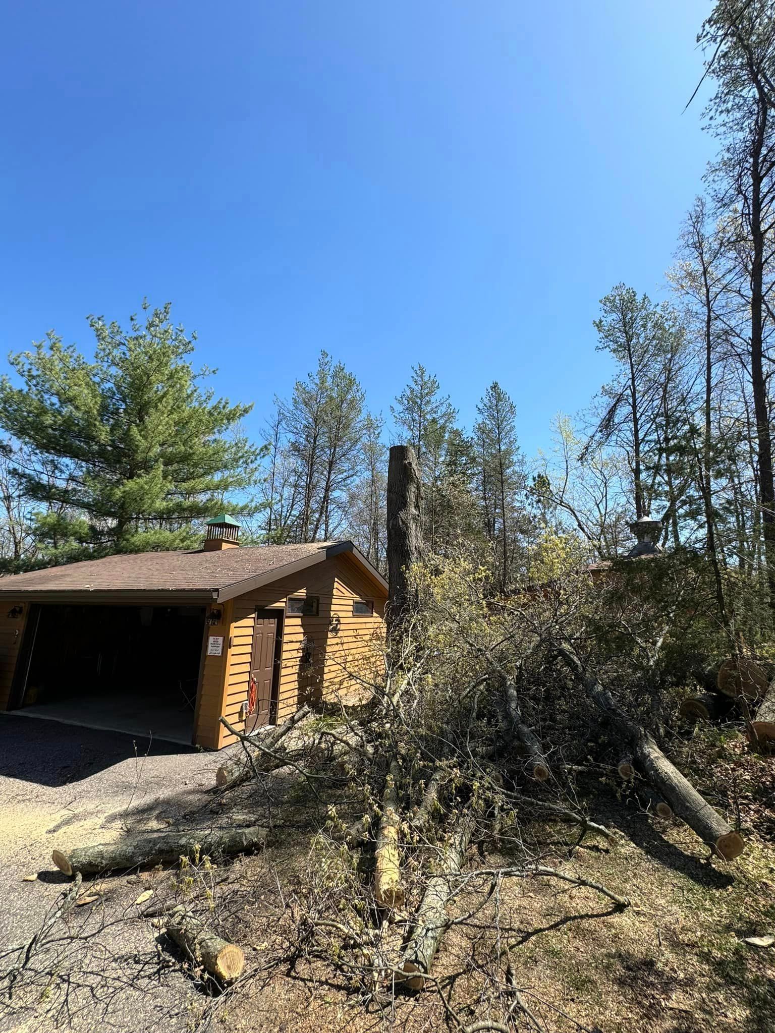 A house with a garage and a lot of trees in front of it.