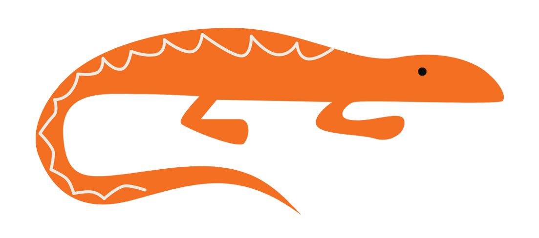 Orange abstract lizard logo on a white background