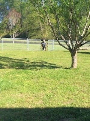 Person Standing Under Tree — Covington, GA — Barbara's Fence Company, Inc.