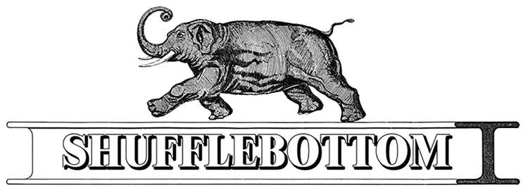 Elephant walking above the text