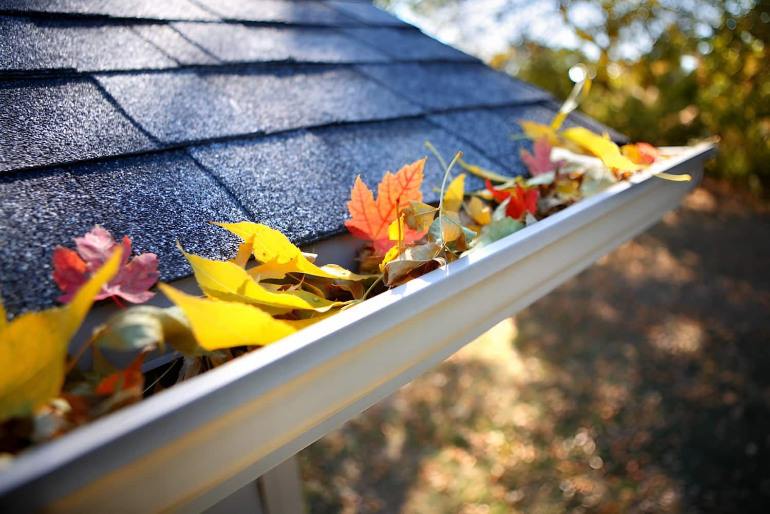 A Gutter Filled With Leaves On A Roof — GPS Plumbing, Drainage & Gasfitting In Dubbo, NSW