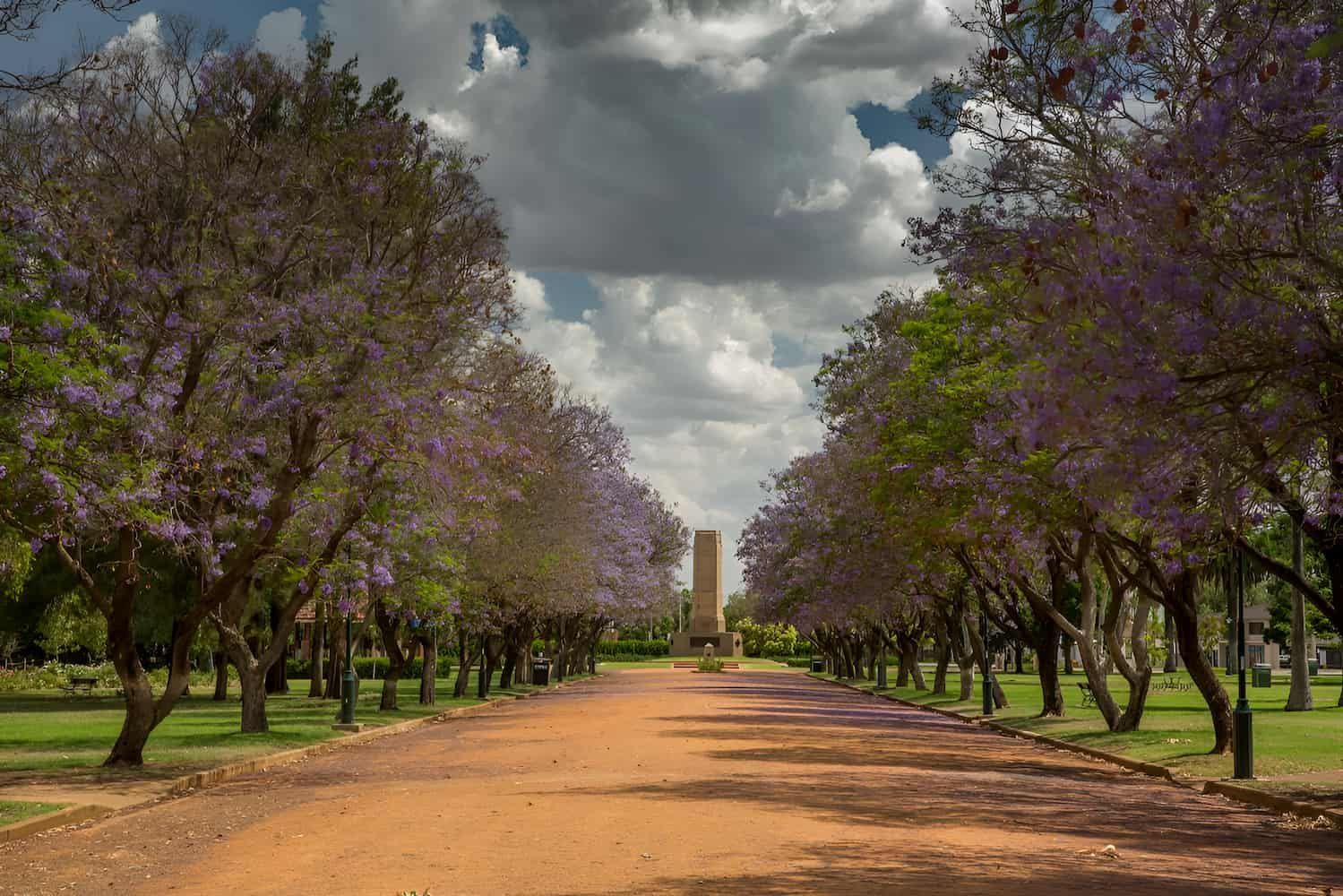 A Dirt Road Lined With Trees — GPS Plumbing, Drainage & Gasfitting In Dubbo, NSW