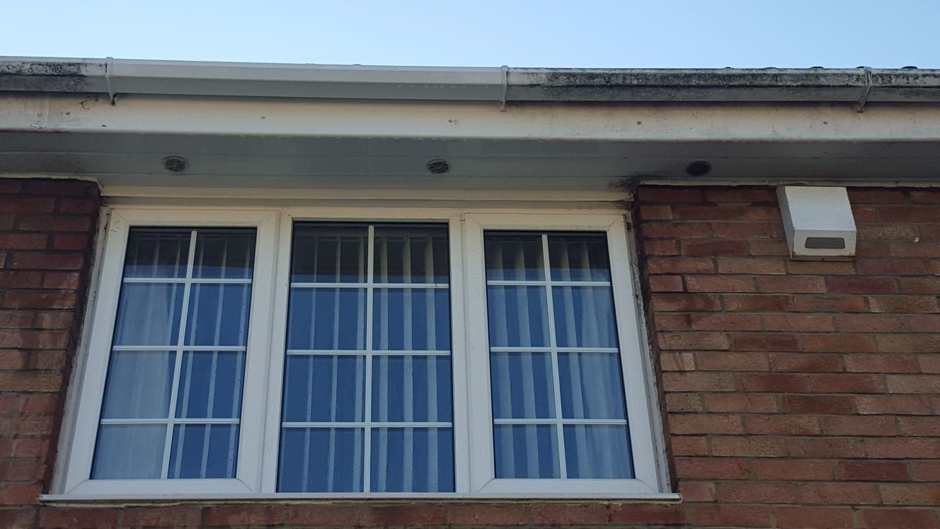 Conservatory roof cleaning